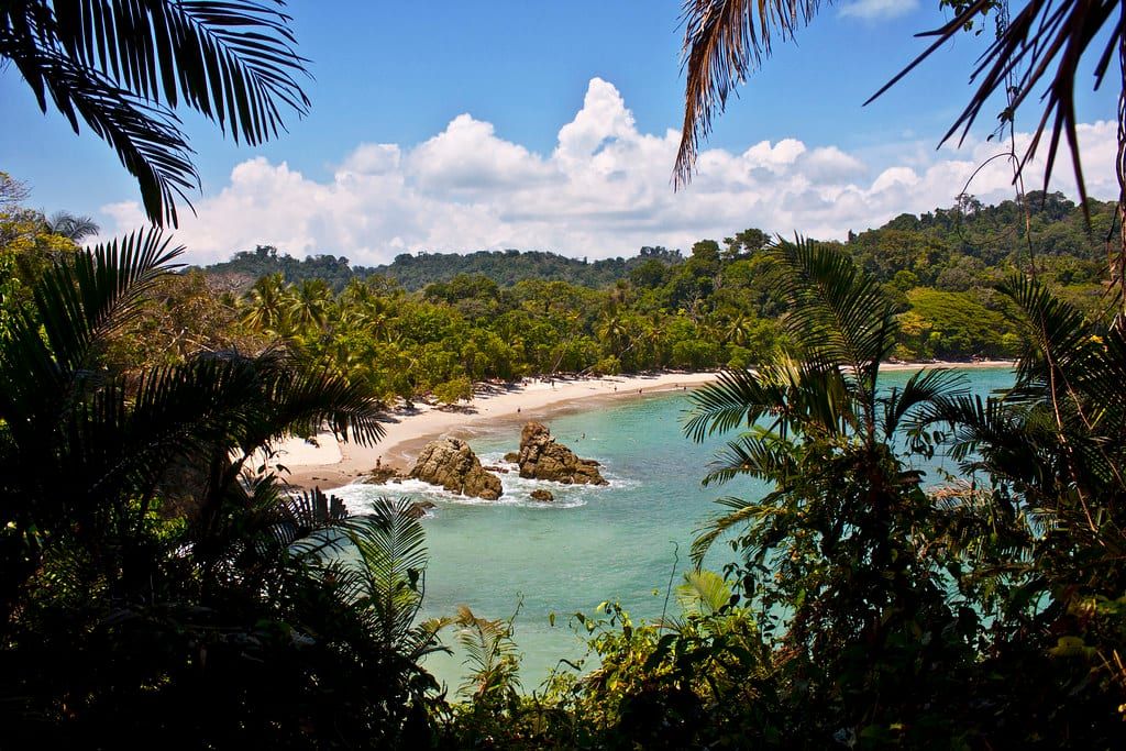Tropische Palmwedel rahmen einen erhöhten Blick auf das türkisfarbene Wasser und die sandige Bucht im Manuel-Antonio-Nationalpark.