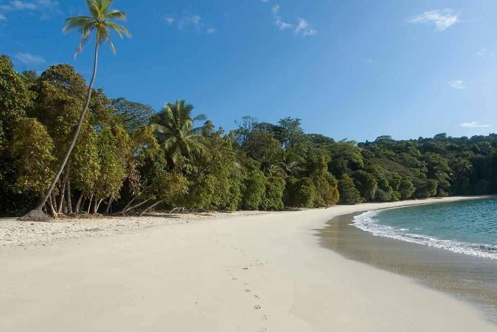 Ein geschwungener Sandstrand mit weißem Sand, gesäumt von türkisfarbenem Meerwasser und üppigem Regenwald unter klarem blauem Himmel im Manuel-Antonio-Nationalpark.