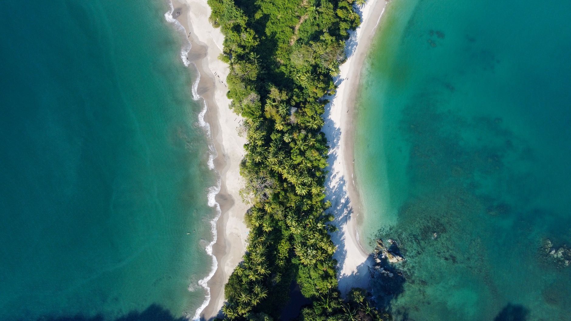 Aerial view of the forested isthmus and sandy beaches surrounded by turquoise water at Manuel Antonio National Park in Costa Rica.