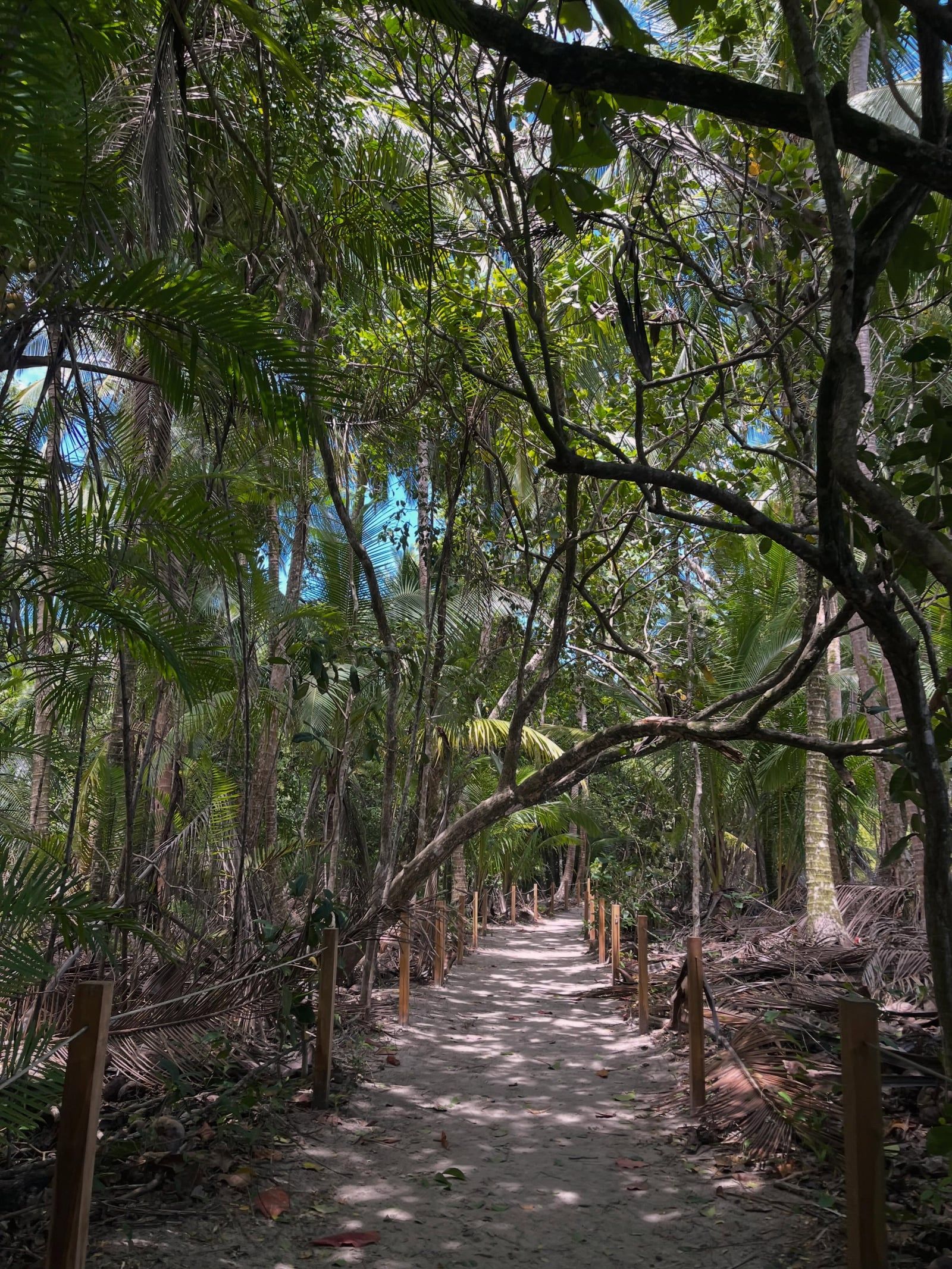 Manuel Antonio National Park view