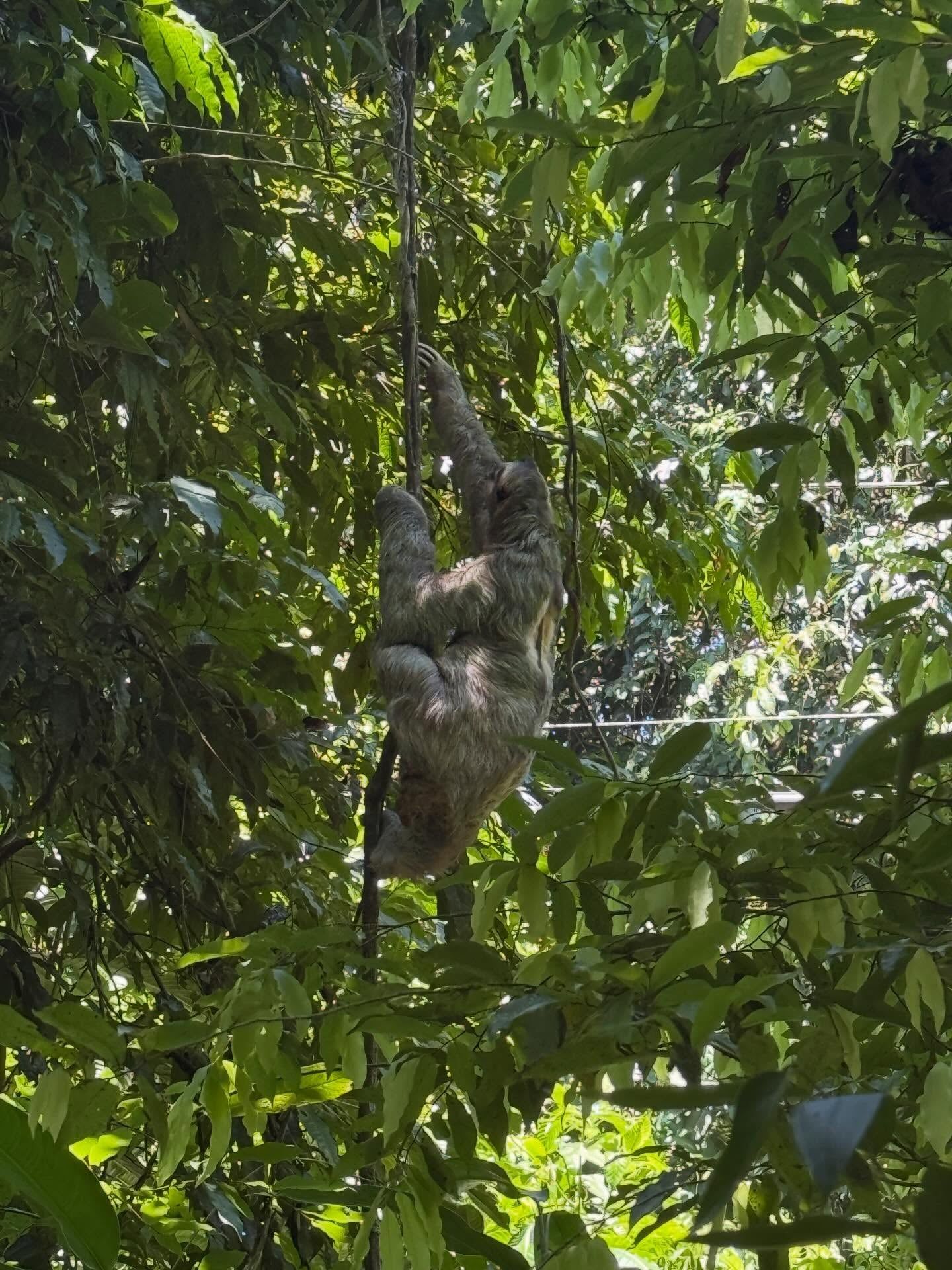 Besucherfoto einer Tour in Nationalpark Manuel Antonio